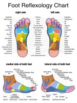 footreflexchart-1741642075.jpg